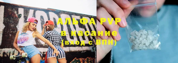 соль ск Дмитриев