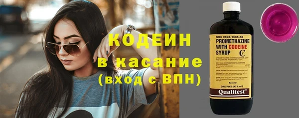 соль ск Дмитриев