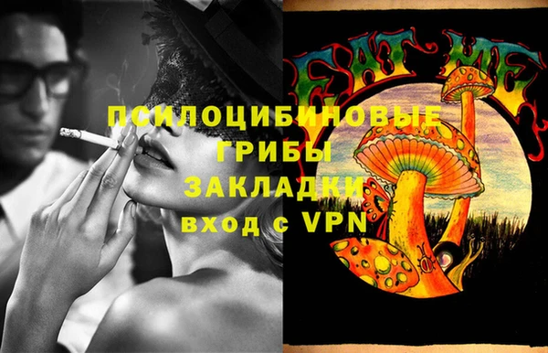 эйфоретик Дмитровск