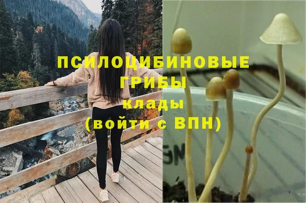 эйфоретик Дмитровск