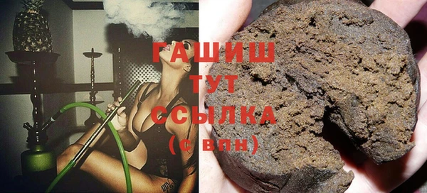соль ск Дмитриев