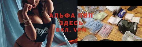 ECSTASY Дмитров