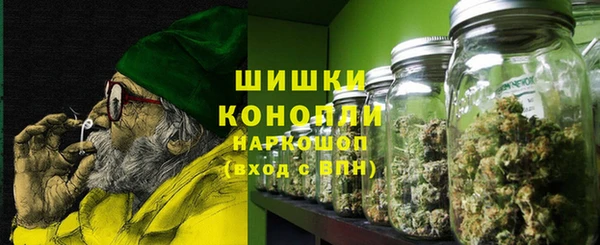 соль ск Дмитриев