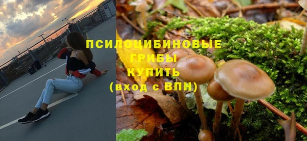 соль ск Дмитриев