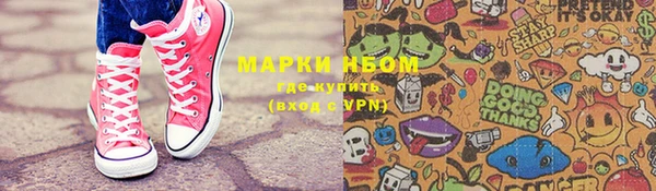соль ск Дмитриев