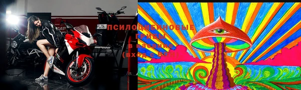 ECSTASY Дмитров