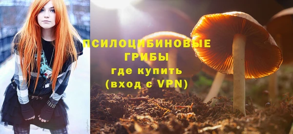 эйфоретик Дмитровск