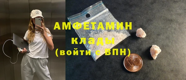 соль ск Дмитриев